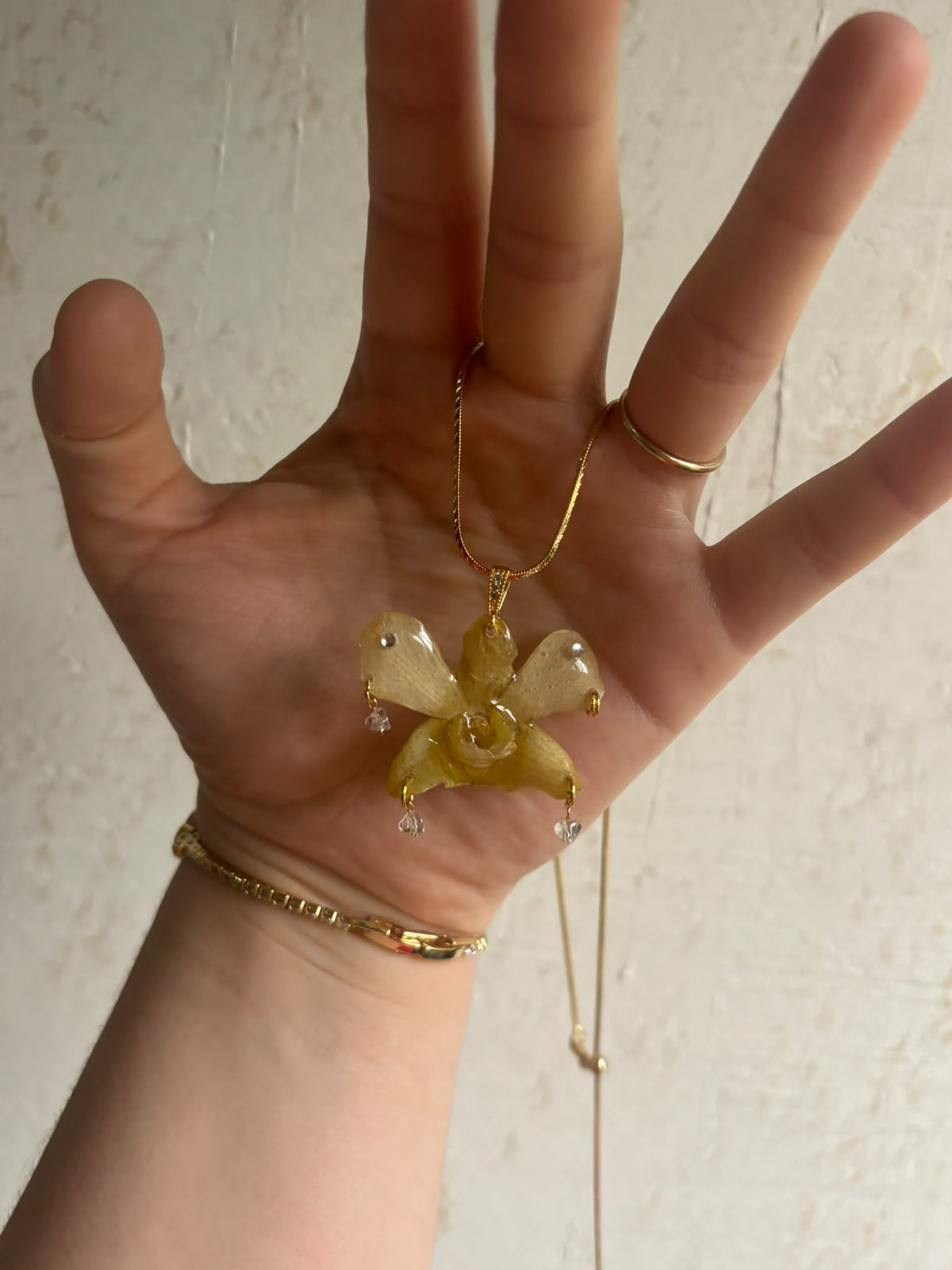 Collar Dorado con Flor Real Orquídea Amarilla| JOYERÍA BOTÁNICA |