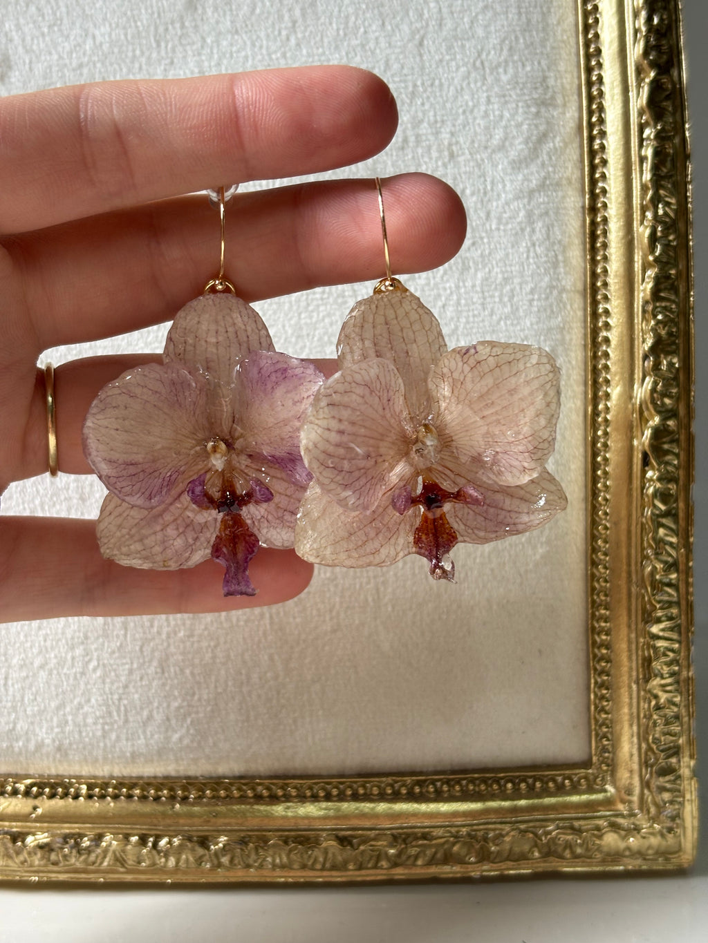 Pendientes Dorados con Flor Real Orquídea Morada | JOYERÍA BOTÁNICA |