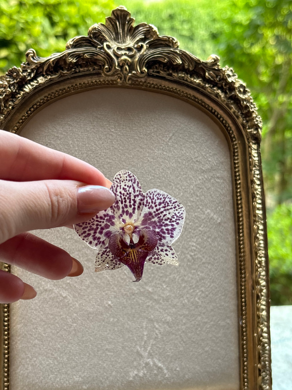 Anillo con Flor Real Orquídea Morada | JOYERÍA BOTÁNICA |