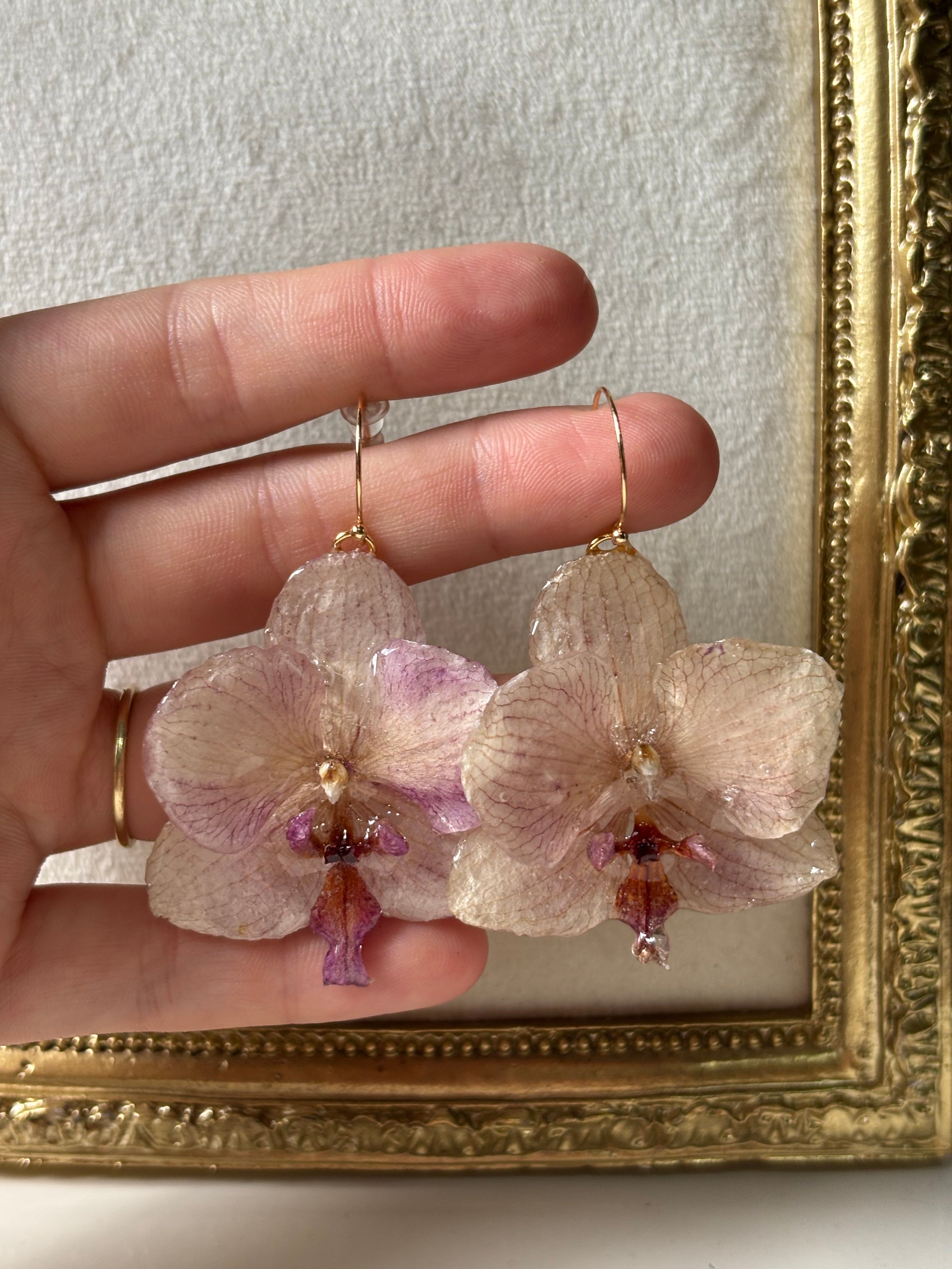 Pendientes Dorados con Flor Real Orquídea Morada | JOYERÍA BOTÁNICA |