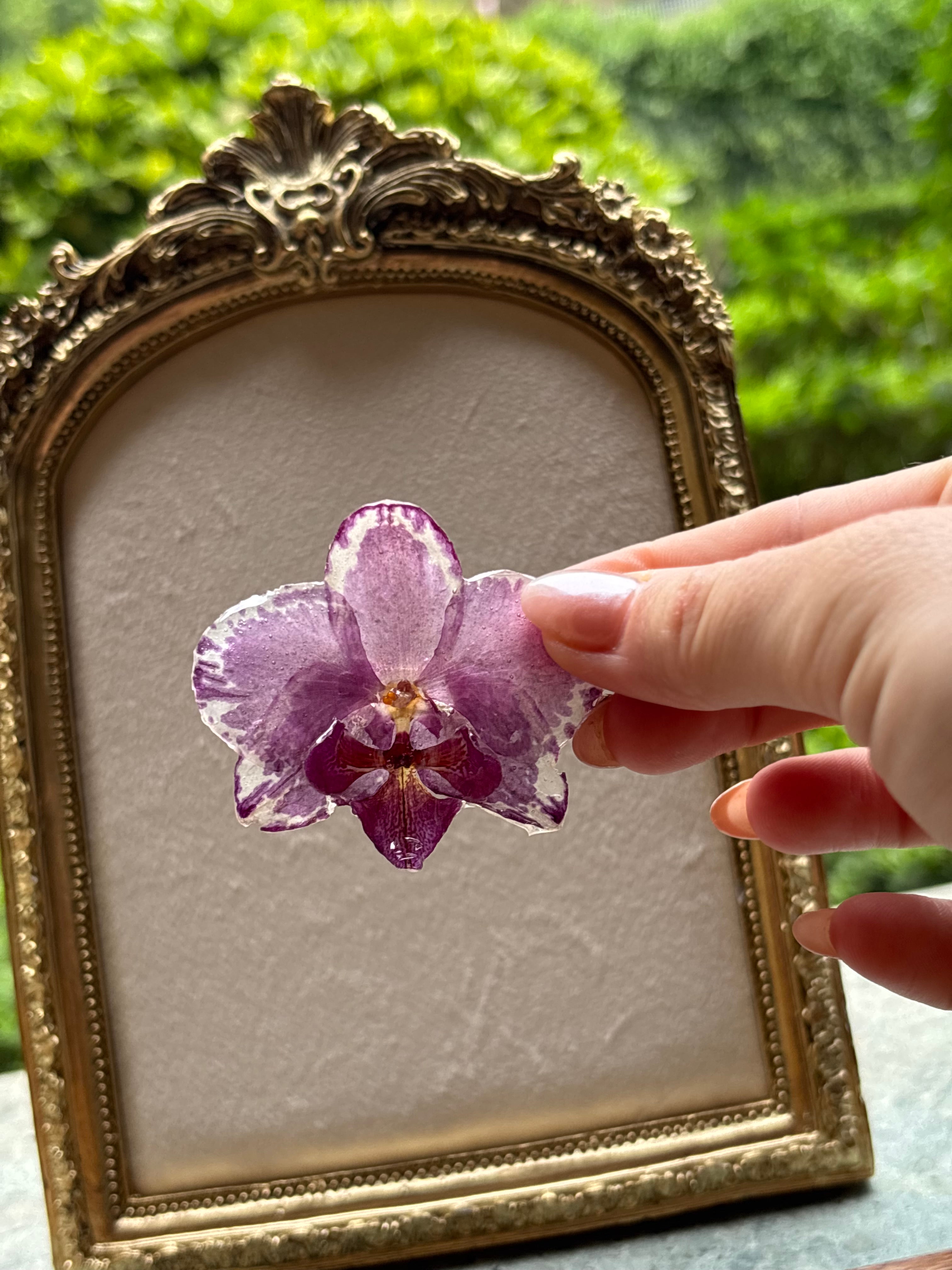 Anillo con Flor Real Orquídea Morada | JOYERÍA BOTÁNICA |