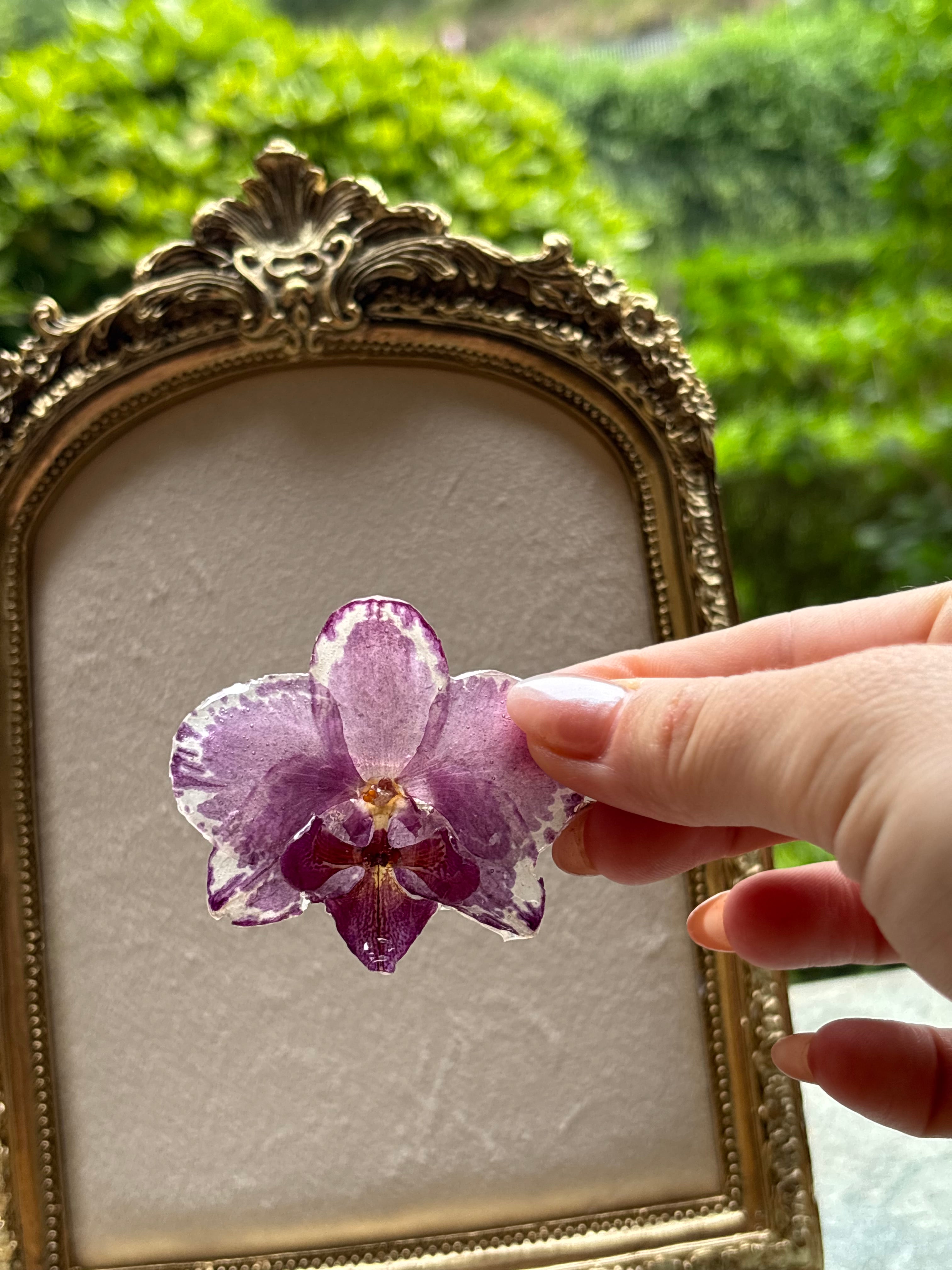 Anillo con Flor Real Orquídea Morada | JOYERÍA BOTÁNICA |