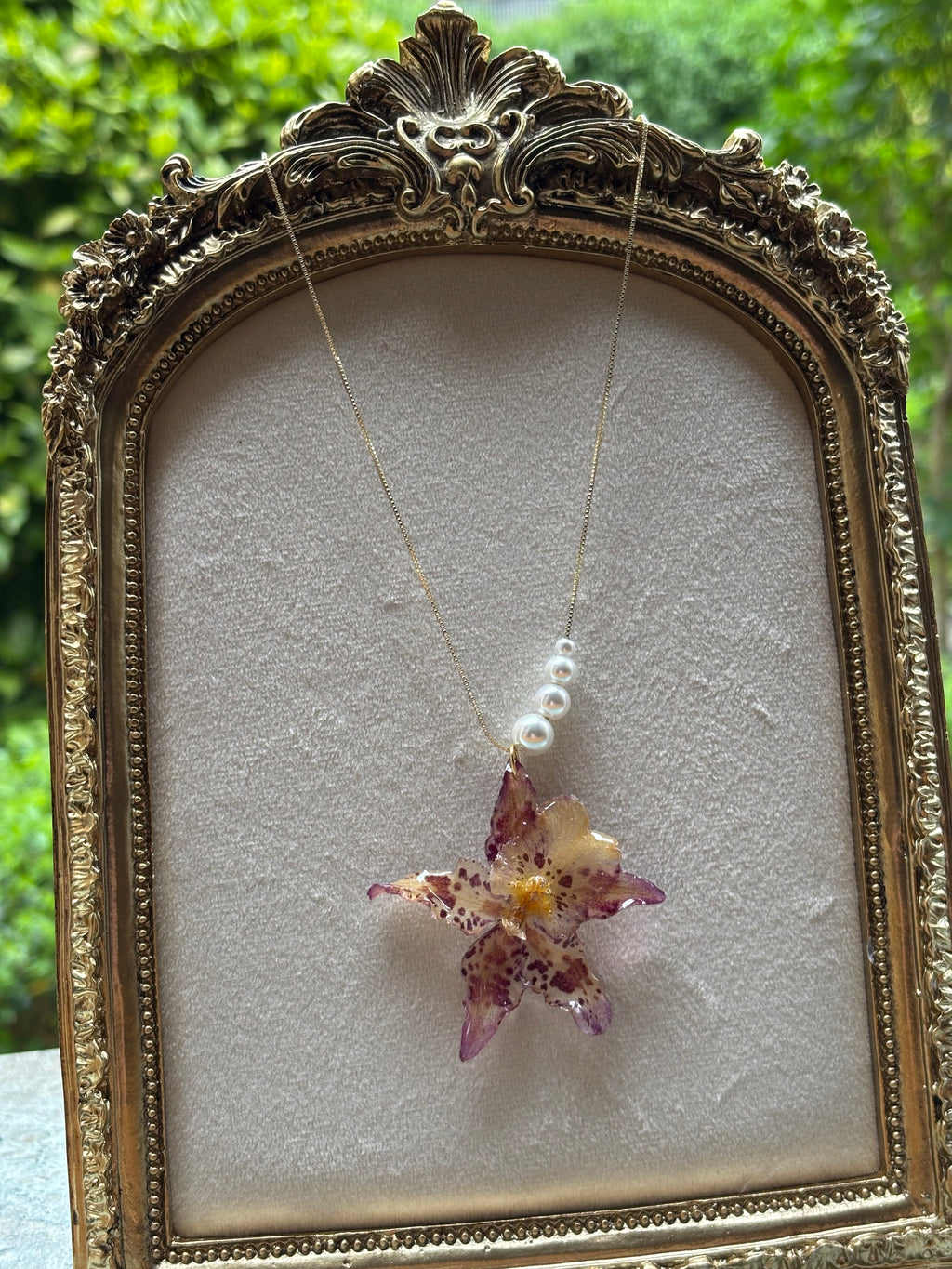 Collar Dorado con Flor Real Orquídea Blanca-Morada| JOYERÍA BOTÁNICA |