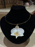 Collar Dorado con Flor Real Orquídea Blanca-Amarilla| JOYERÍA BOTÁNICA |
