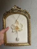 Collar Dorado con Flor Real Orquídea Blanca| JOYERÍA BOTÁNICA |
