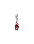 Charm Spiderman