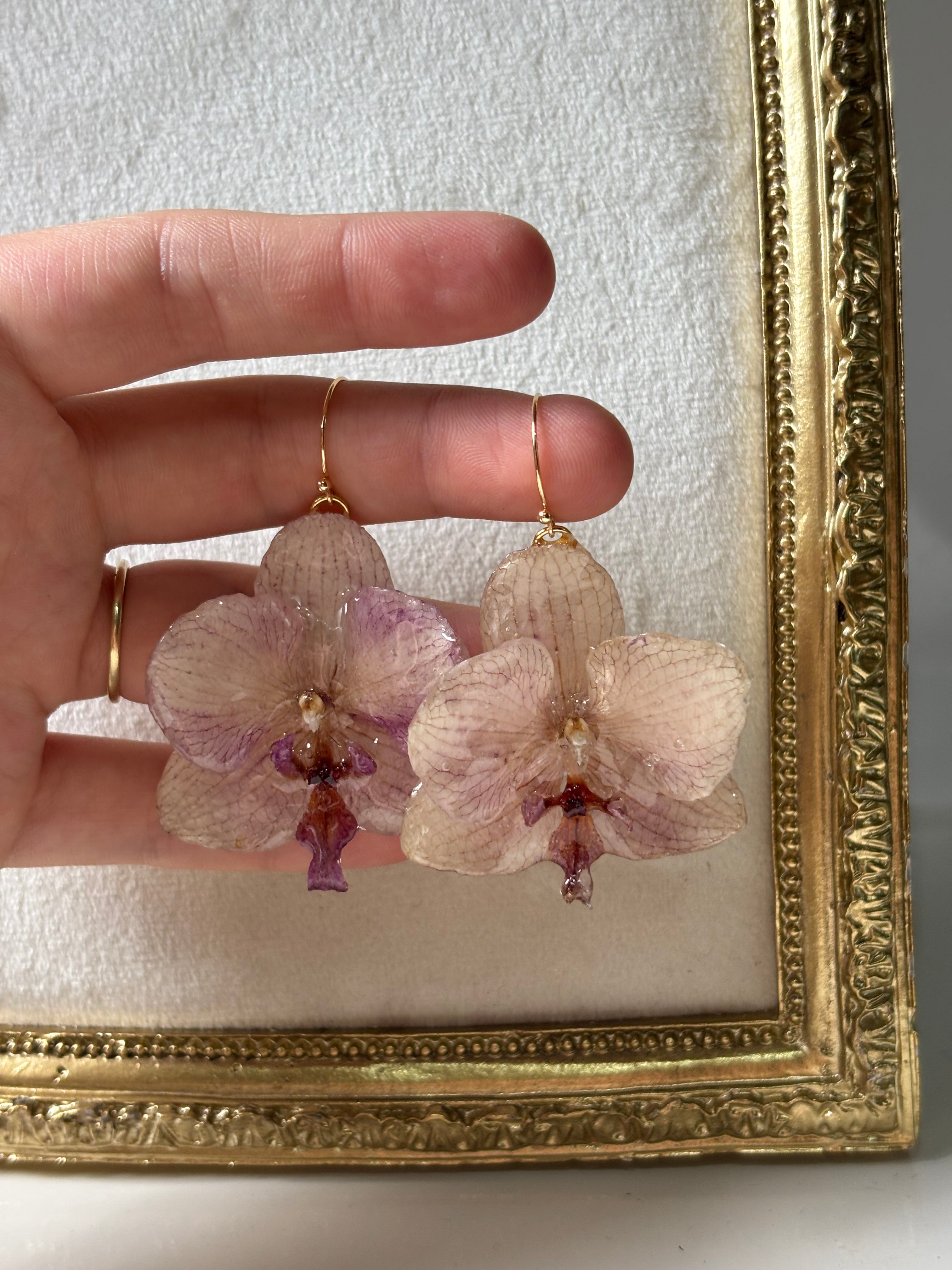 Pendientes Dorados con Flor Real Orquídea Morada | JOYERÍA BOTÁNICA |