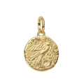 Charm Moneda Dorada Pajarito