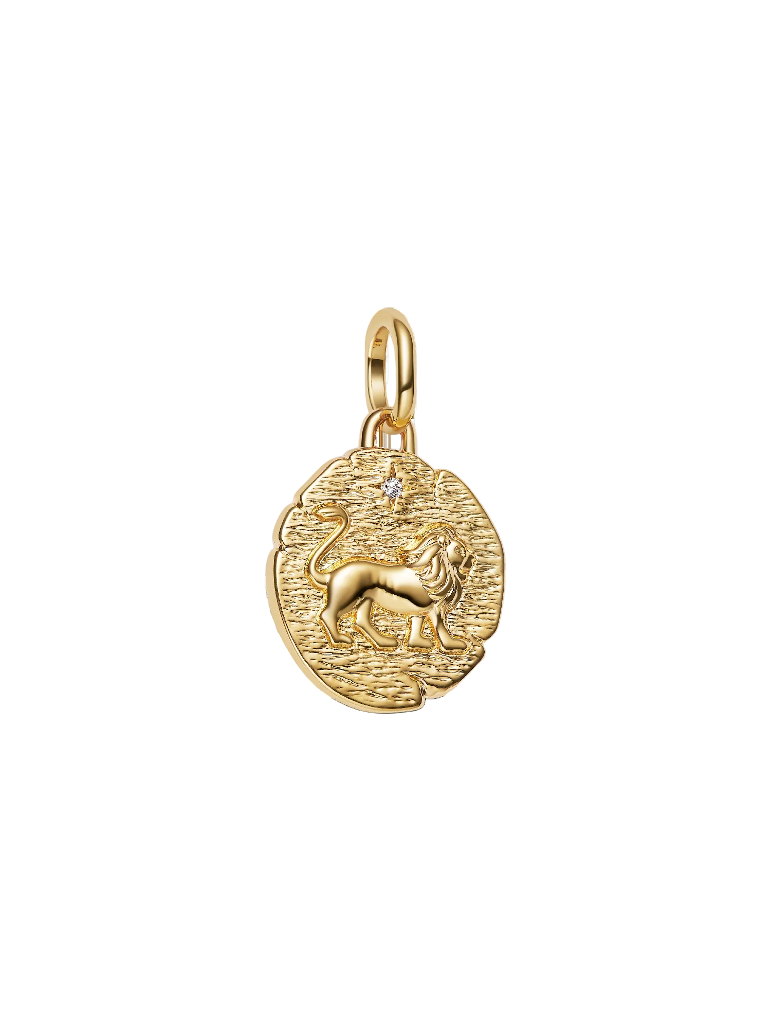 Charm Moneda Dorada León