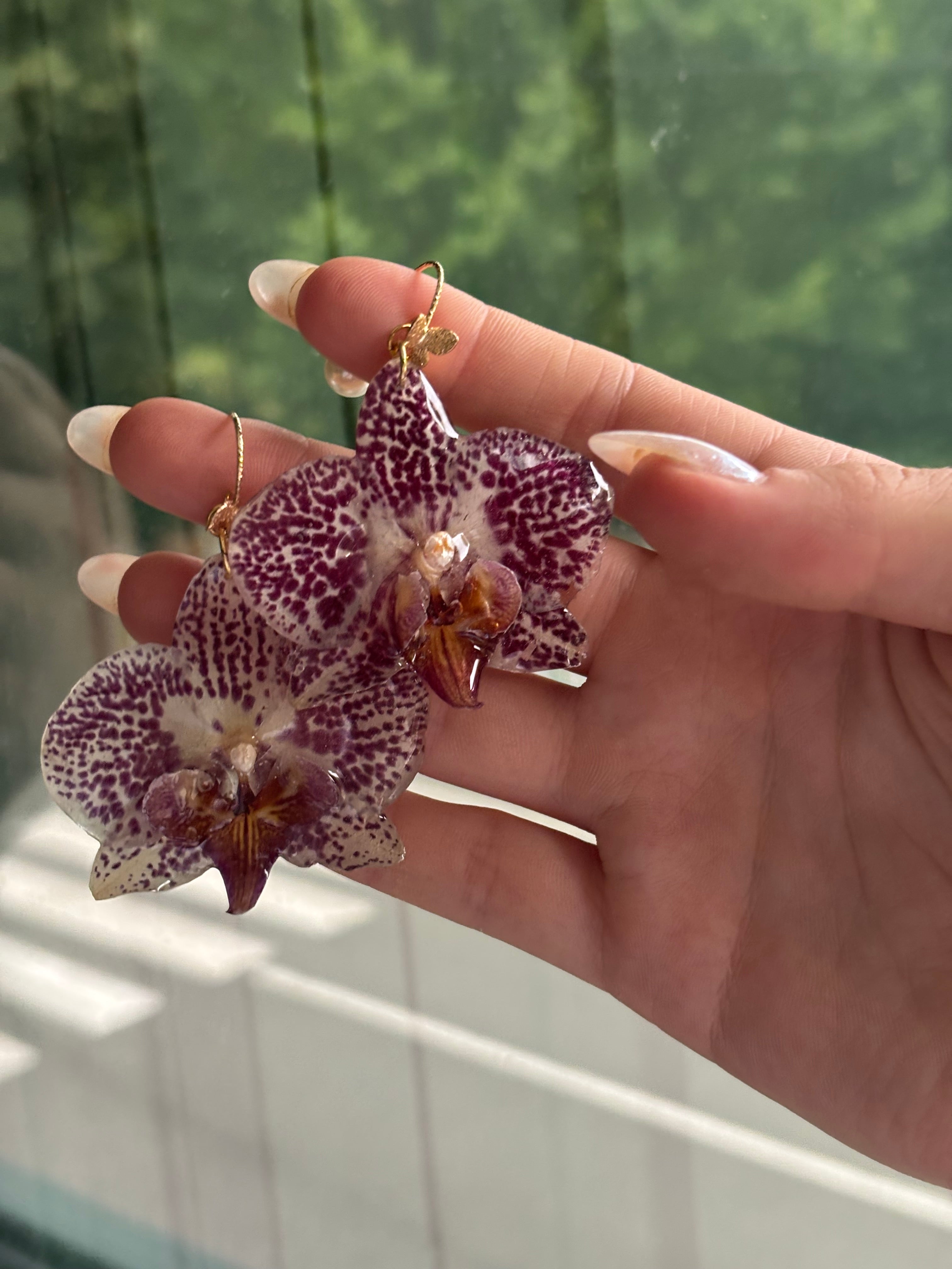 Pendientes Dorados con Flor Real Orquídea Blanca-Morada | JOYERÍA BOTÁNICA |