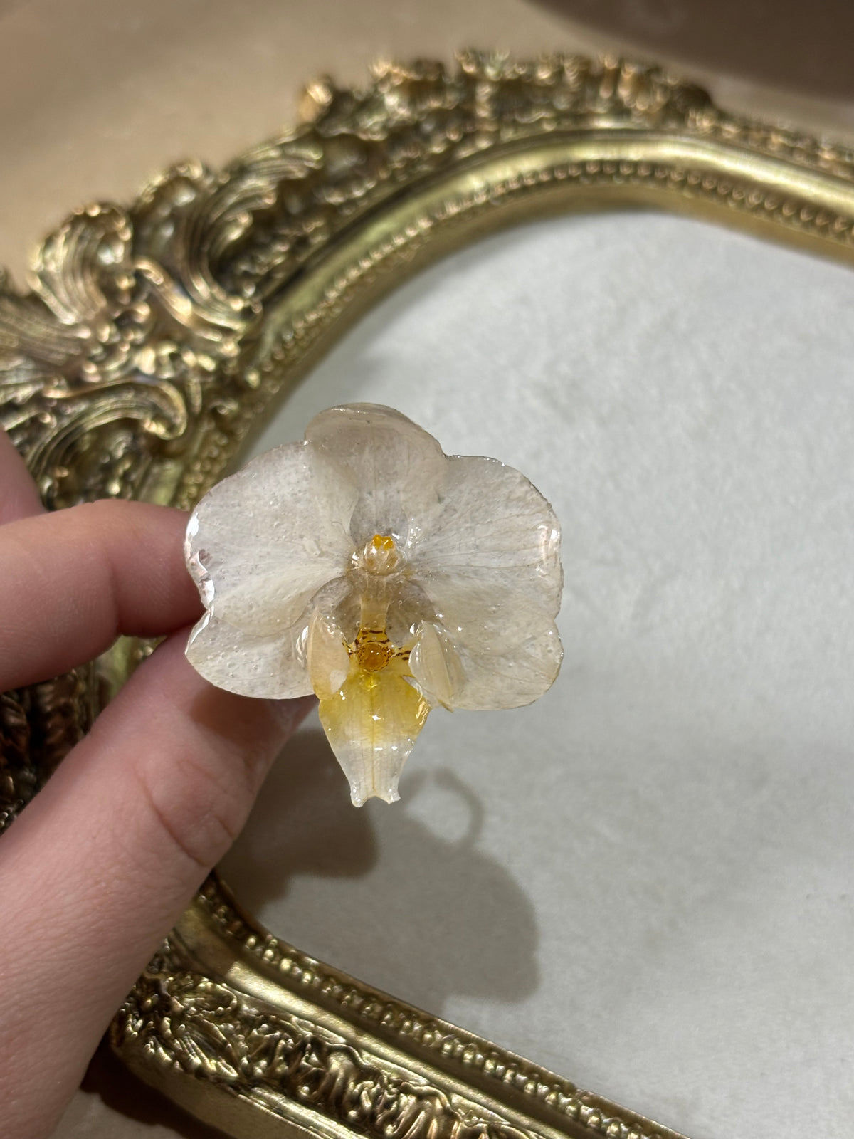 Anillo con Flor Real Orquídea Blanca | JOYERÍA BOTÁNICA |