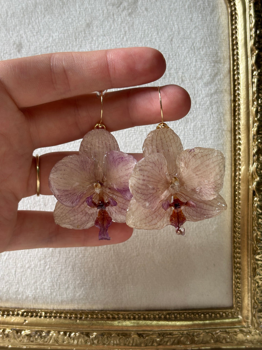 Pendientes Dorados con Flor Real Orquídea Morada | JOYERÍA BOTÁNICA |