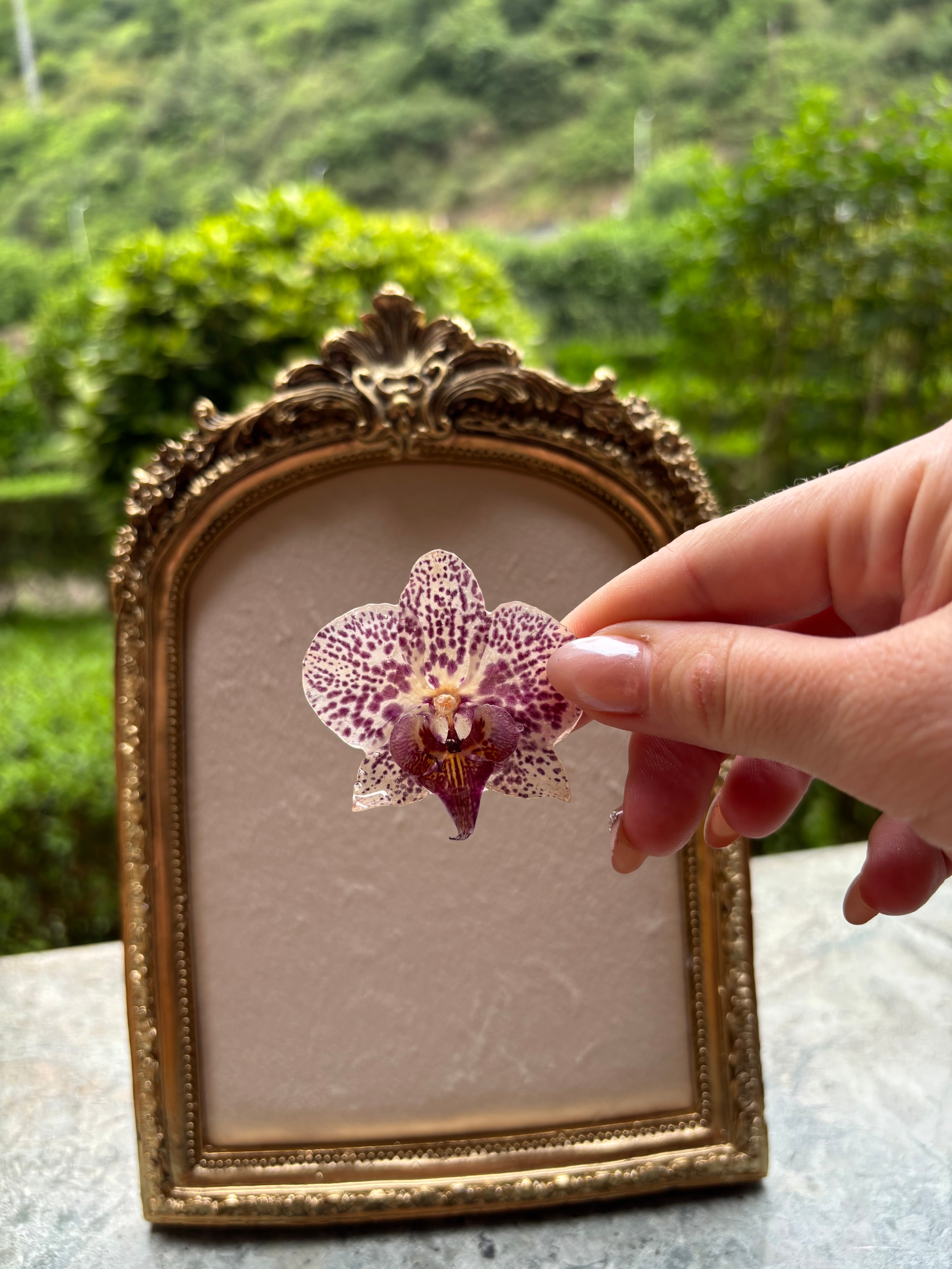 Anillo con Flor Real Orquídea Morada | JOYERÍA BOTÁNICA |