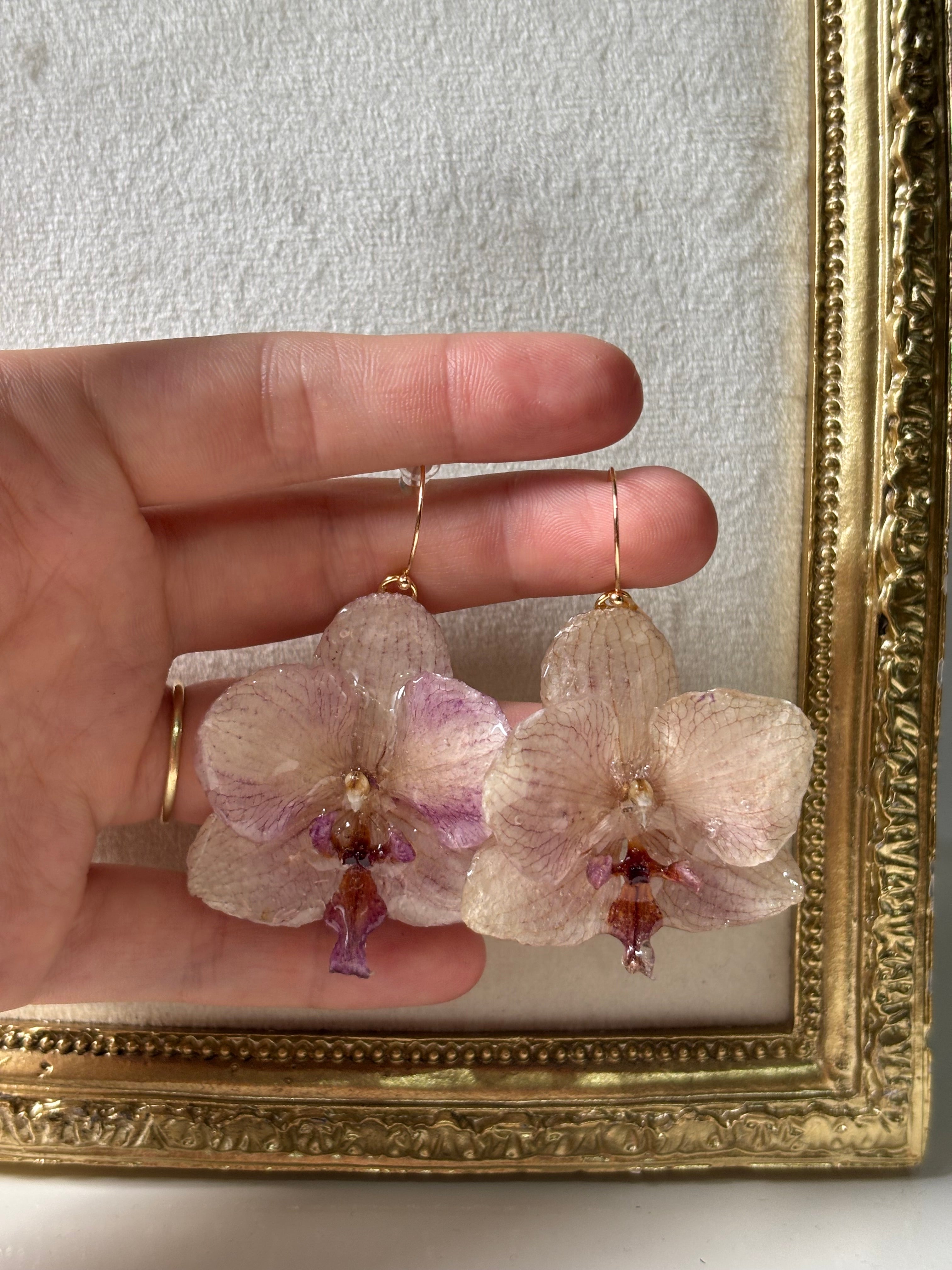 Pendientes Dorados con Flor Real Orquídea Morada | JOYERÍA BOTÁNICA |