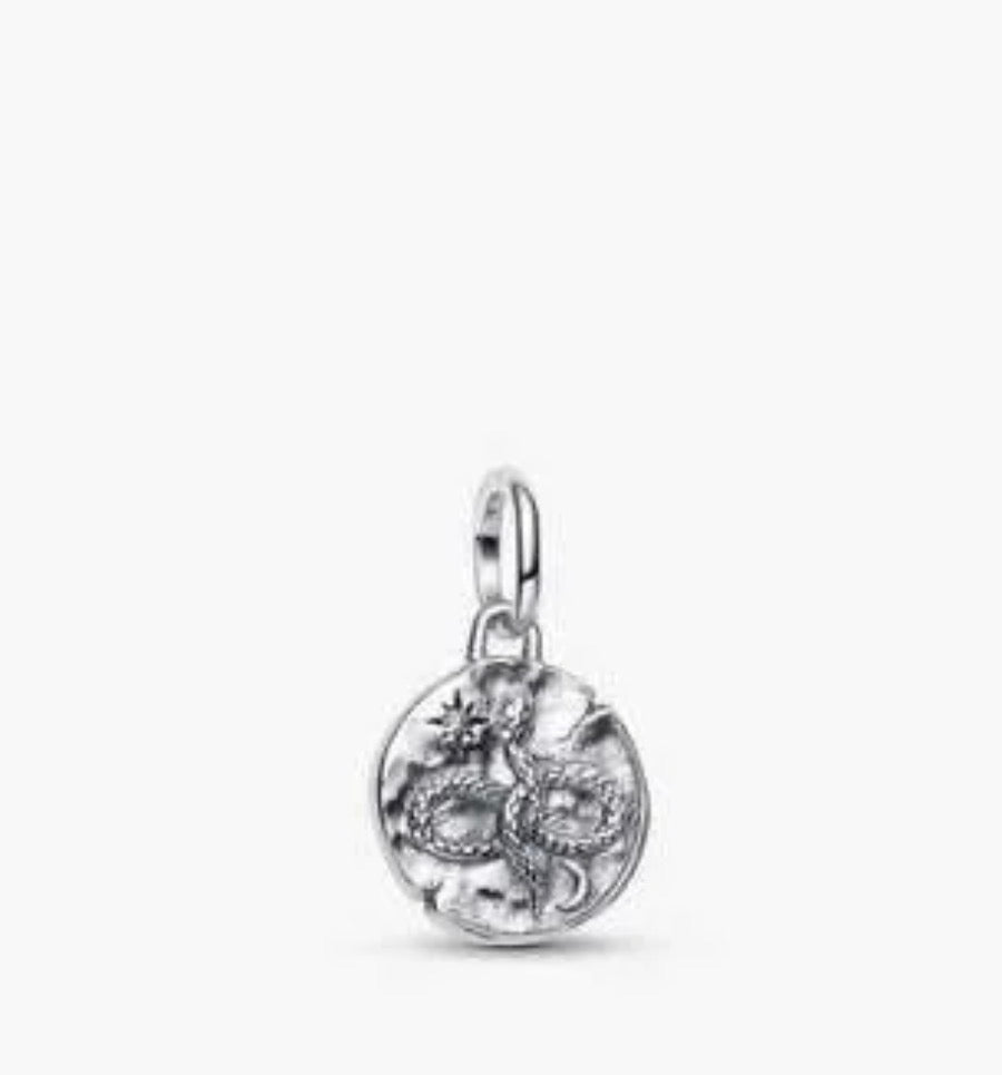 Charm Plateado Moneda Serpiente