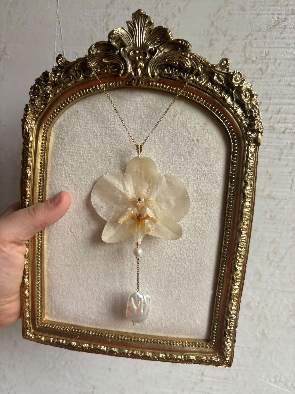 Collar Dorado con Flor Real Orquídea Blanca| JOYERÍA BOTÁNICA |