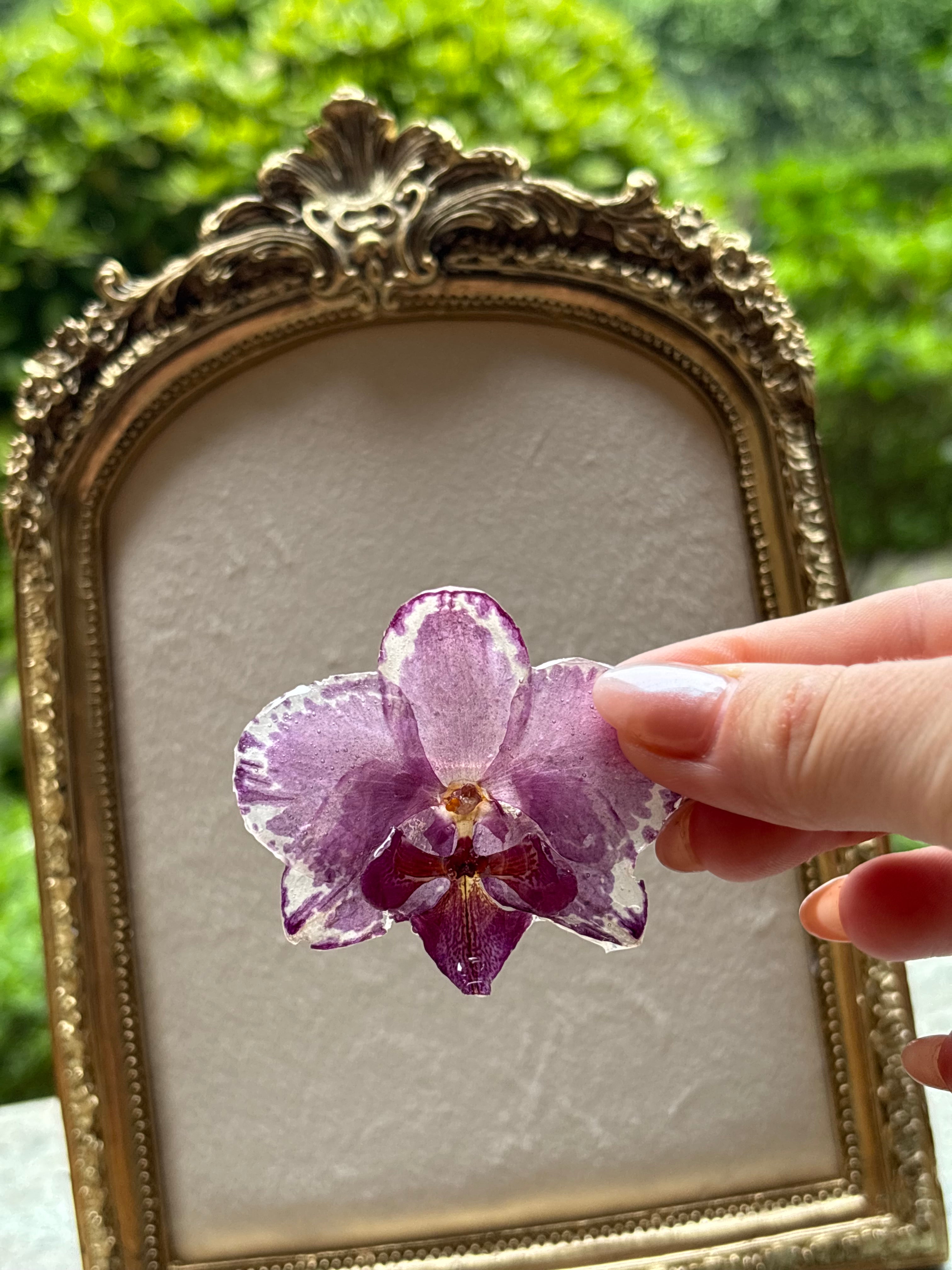Anillo con Flor Real Orquídea Morada | JOYERÍA BOTÁNICA |