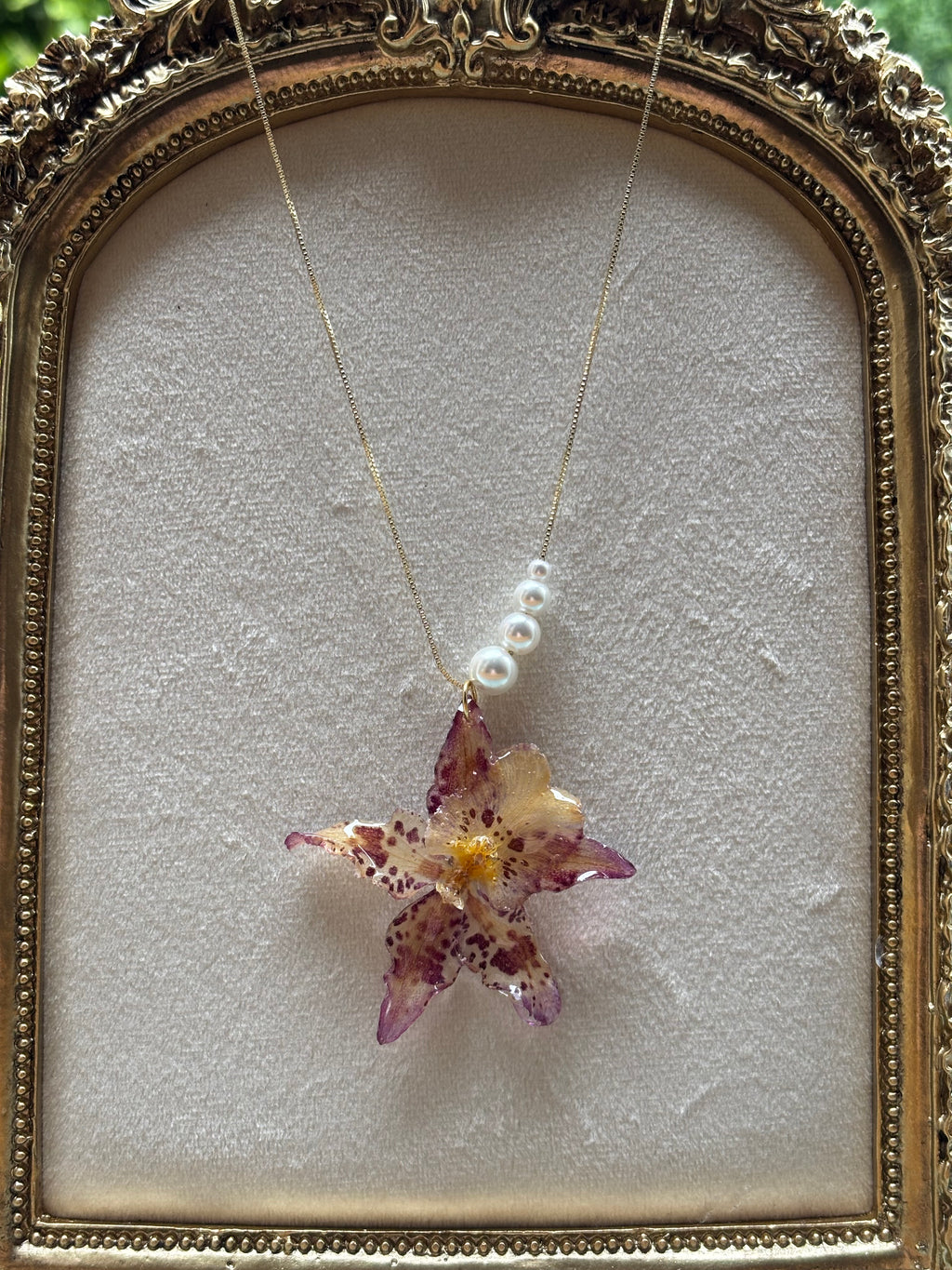 Collar Dorado con Flor Real Orquídea Blanca-Morada| JOYERÍA BOTÁNICA |