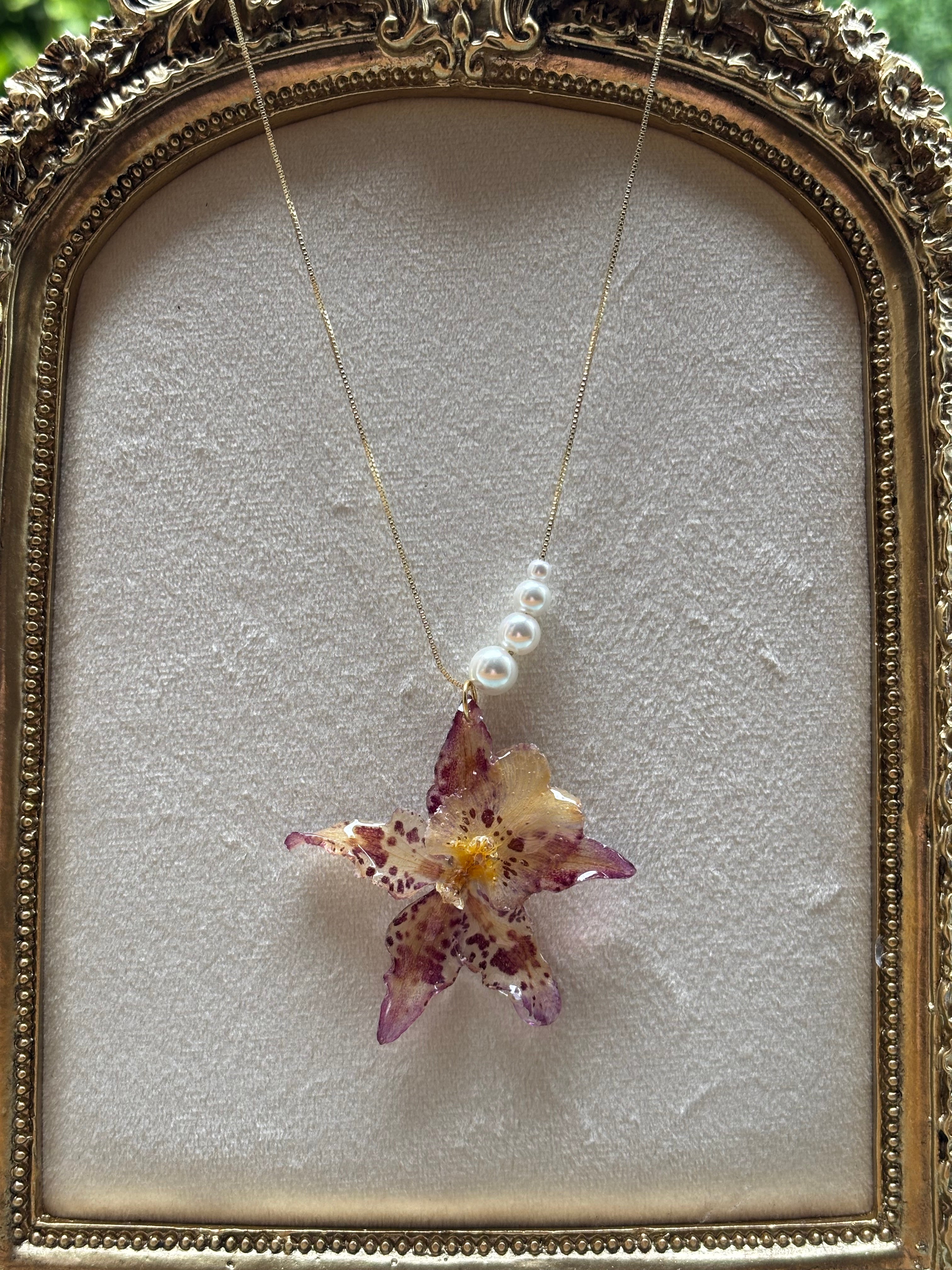 Collar Dorado con Flor Real Orquídea Blanca-Morada| JOYERÍA BOTÁNICA |
